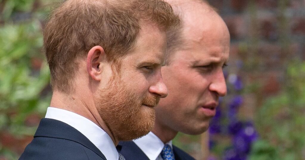 Prince William may be 'jealous' of Harry says Fern Britton | Royal | News