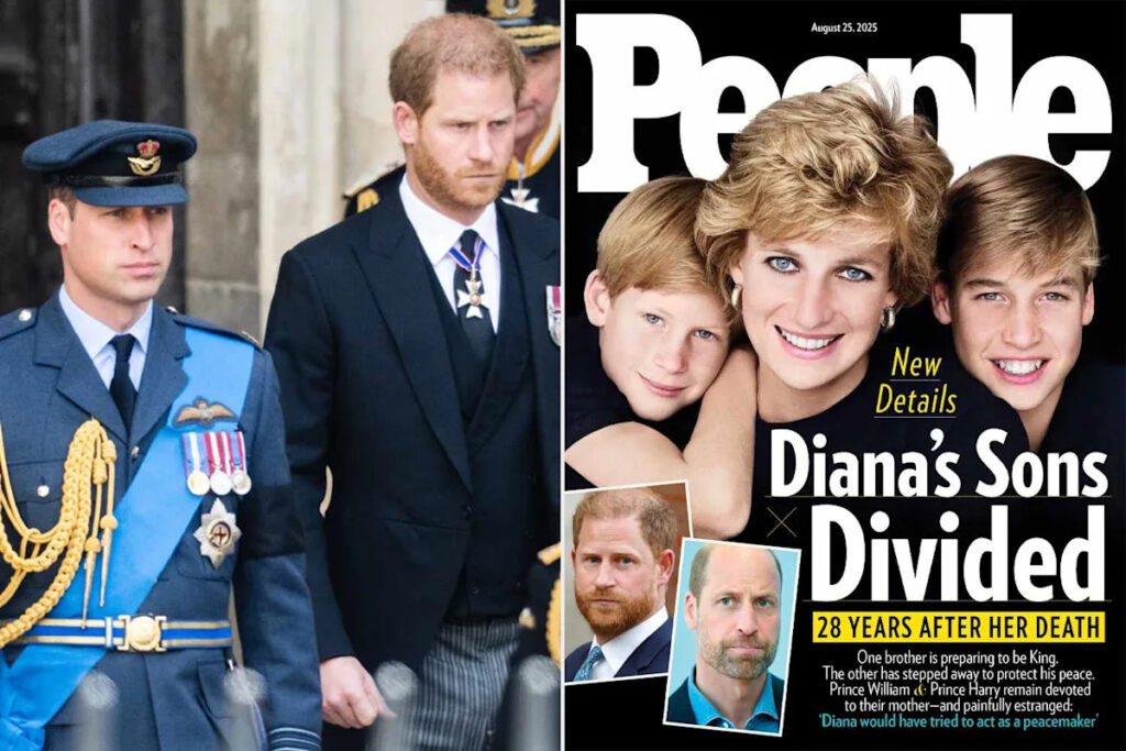 Princess Diana ‘Would Have Tried to Act as Peacemaker’ (Exclusive) Princess Diana 'Would Have Tried to Act as Peacemaker' (Exclusive)