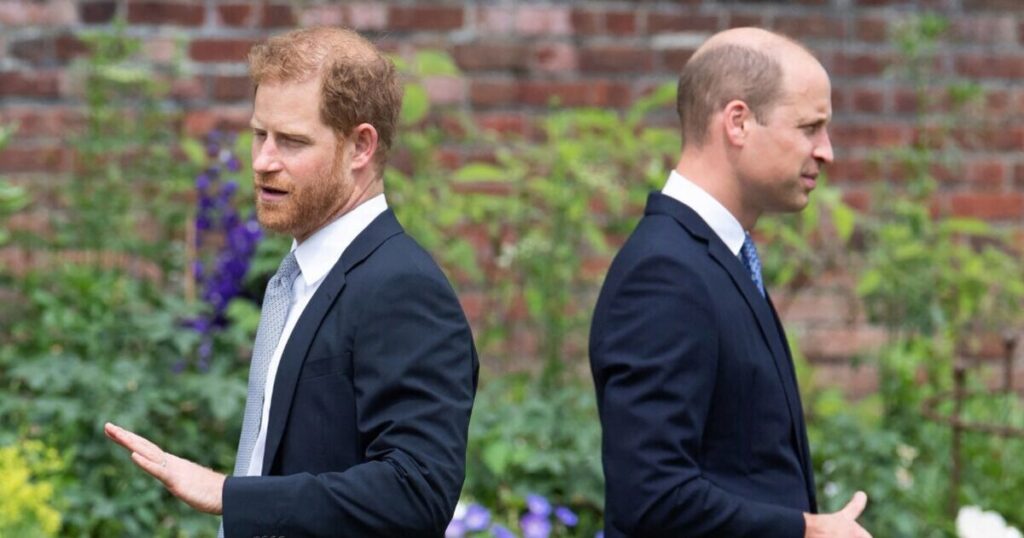 Reason for 'stall' in healing royal rift between William and Harry | Royal | News