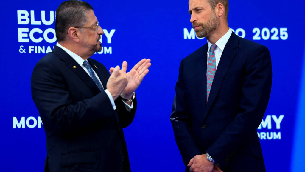 ‘Think big’ to save the ocean, Prince William says in plea to world leaders 'Think big' to save the ocean, Prince William says in plea to world leaders