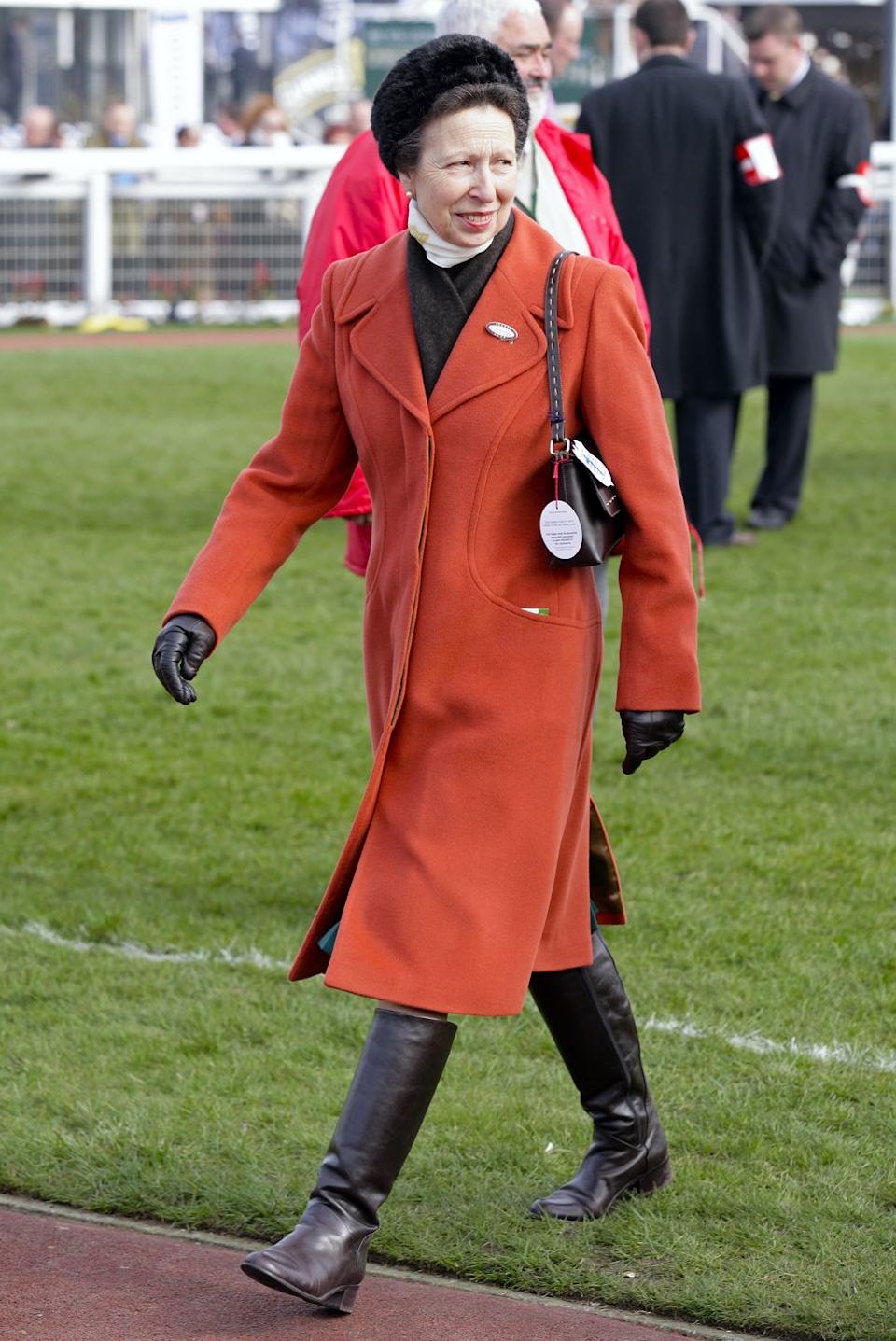cheltenham festival ladies day