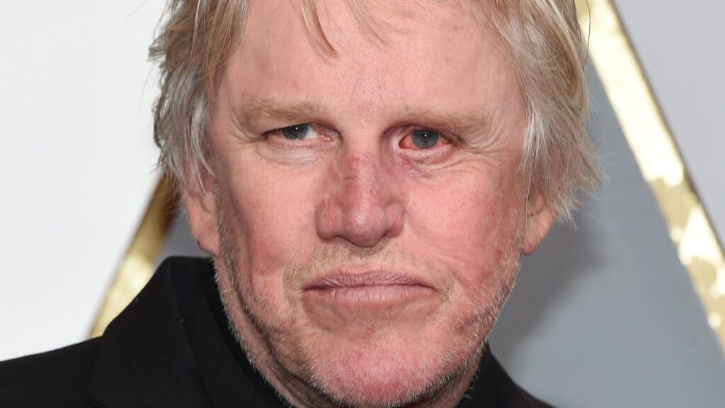 Gary Busey pleads guilty to criminal sexual misconduct charge