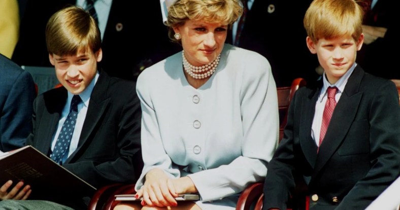 Why Royal Experts Are Weighing In on William and Harry Rift