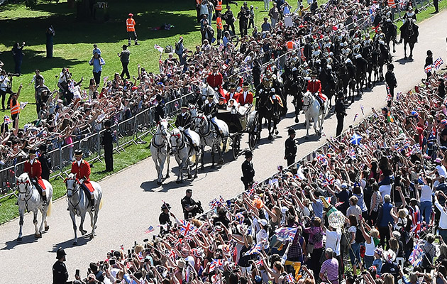 royal wedding horses