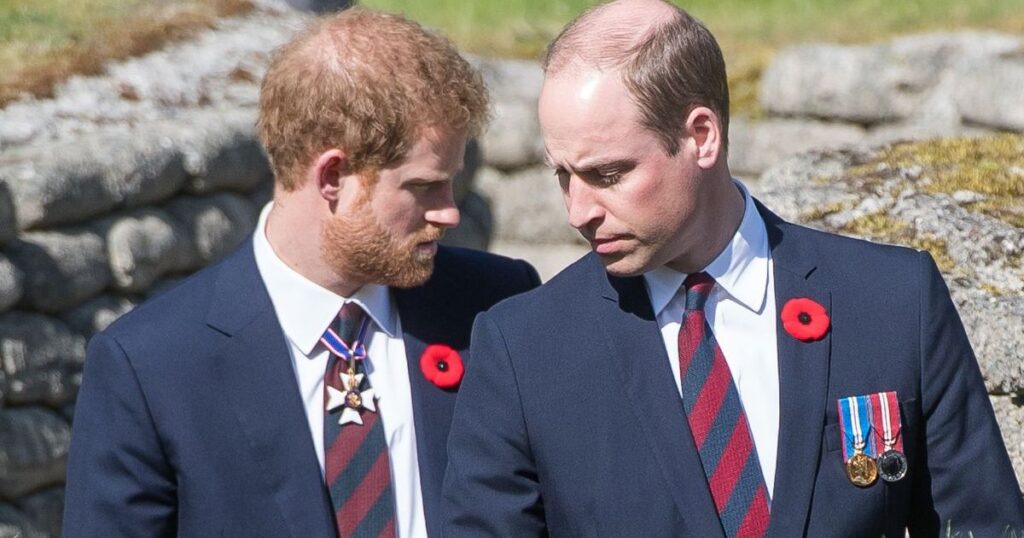 Prince Harry & Prince William Have New Rules to Avoid Each Other at Royal Wedding, Says Source