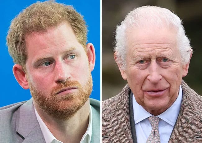 prince harry king charles