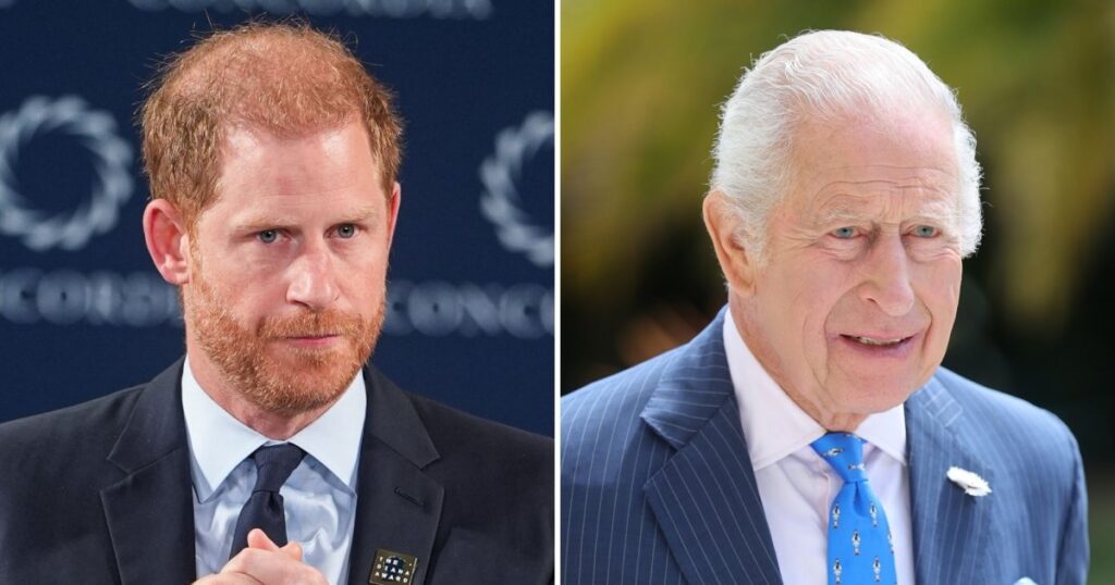 Prince Harry and King Charles Might Have a Meeting Next Month