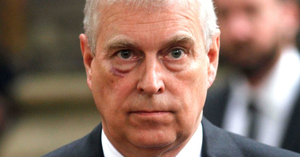Prince Harry Denies Punching Prince Andrew So Hard He Made His Nose Bleed