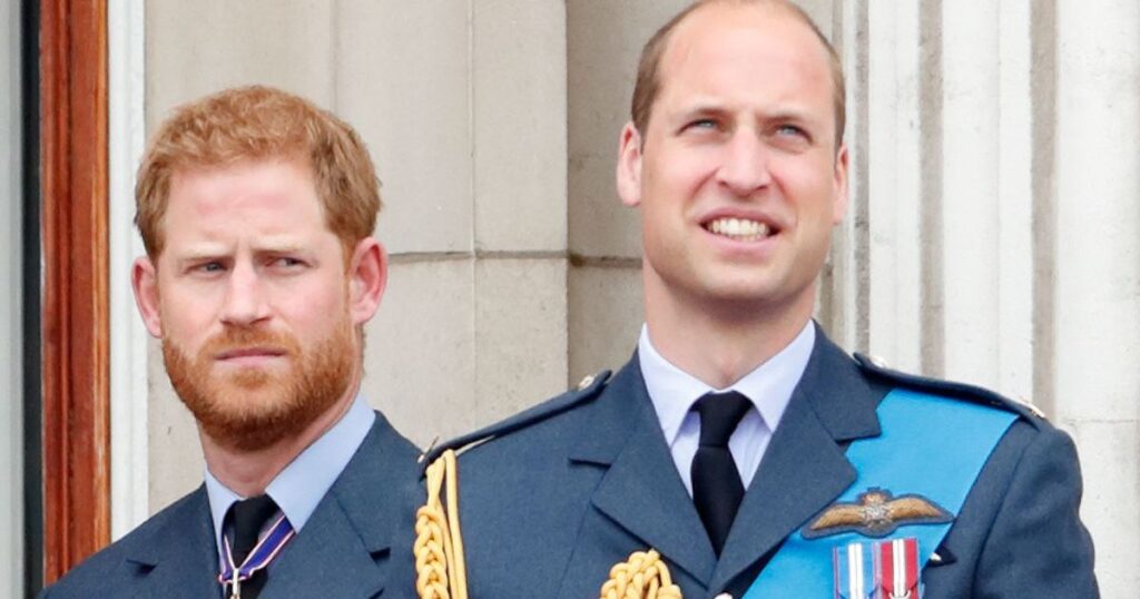 Prince Harry Will Have To Bow Down to Prince William To Fix Rift, Says Expert