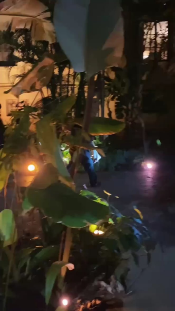 Tyla had to be carried out of the H&M after party in Brazil