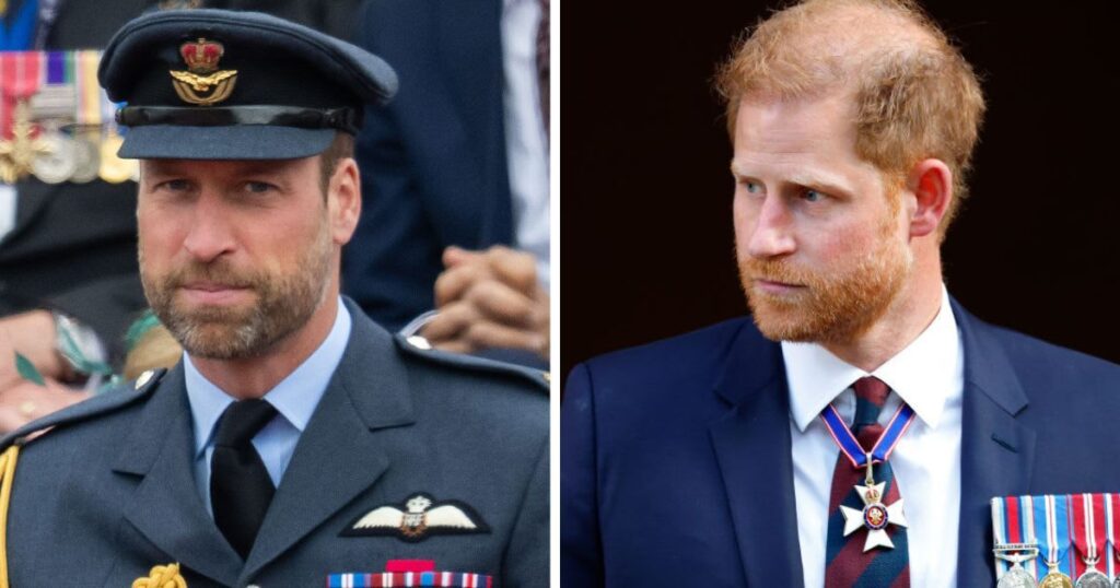Royal Historian Explains Why William’s Army Air Corps Title Is a ‘Gut Punch’ to Harry: ‘He Had Left…’ Royal Historian Explains Why William’s Army Air Corps Title Is a ‘Gut Punch’ to Harry: ‘He Had Left...'