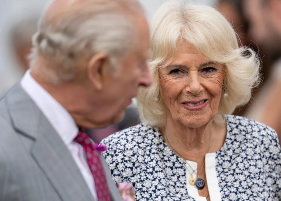 Prince William's friends say he carries trauma from his father's affair with Queen Camilla. / Mark Cuthbert / UK Press via Getty Images