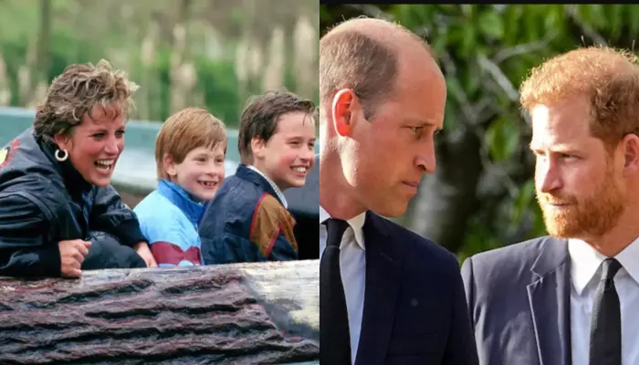 Princess Diana's Last Phone Call With William And Harry, Sons Regretted And Said, 'If I Had Known..'