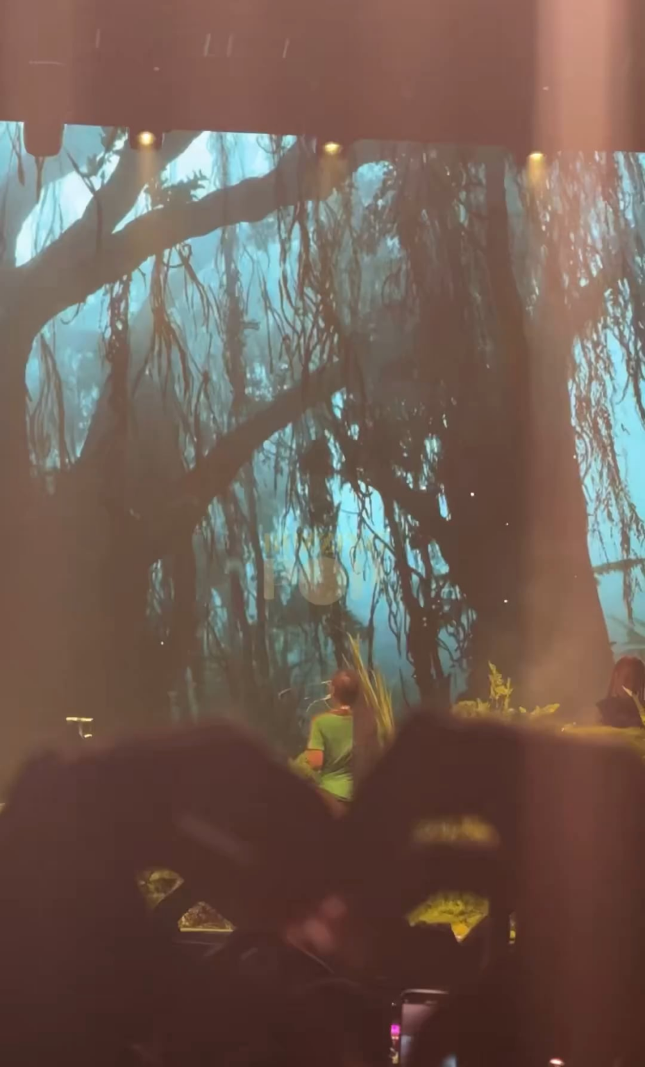 Doechii during her Osheaga set: "Y'all can’t be scared to stand up for what you believe in, you can't be scared to say what matters — free Palestine"
