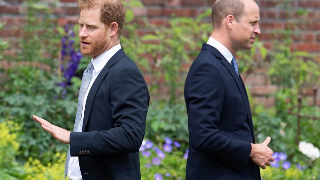 Why Prince Harry and Prince William May Reconnect Sooner Rather Than Later: Source (Exclusive)