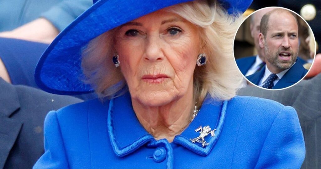 Photographer Claims Camilla Is Tired of William ‘Creating Issues’ in the Monarchy: ‘She's Told…’