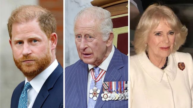 Prince Harry & Queen Camilla’s Relationship Amid King Charles Meeting What Was Prince Harry & Prince Philip's Relationship Before King Charles Feud?