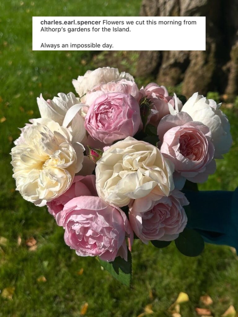Princess Diana’s brother, Charles, honored the memory of his late sister by placing flowers at her burial site to mark 28 years since her death: “Flowers we cut this morning from Althorp’s gardens for the Island. Always an impossible day.” Princess Diana's brother, Charles, honored the memory of his late sister by placing flowers at her burial site to mark 28 years since her death: “Flowers we cut this morning from Althorp’s gardens for the Island. Always an impossible day.”