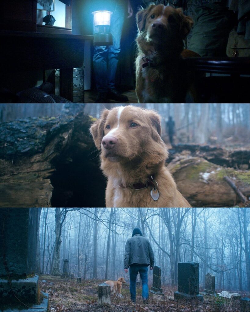 First look at Ben Leonberg’s ‘Good Boy’, a horror movie from the perspective of a dog (Indy) who sees its owner haunted by supernatural entities. In theaters October 3rd.