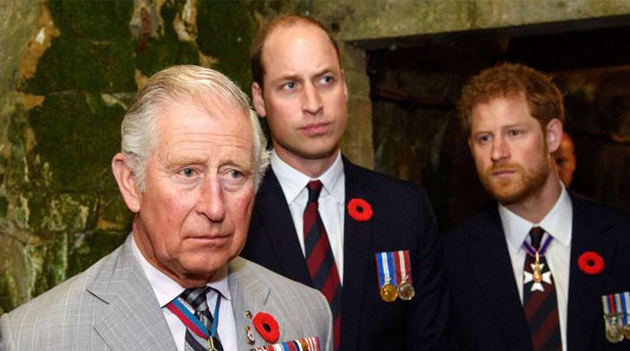 King Charles can act as ‘bridge' between Prince Harry, Prince William