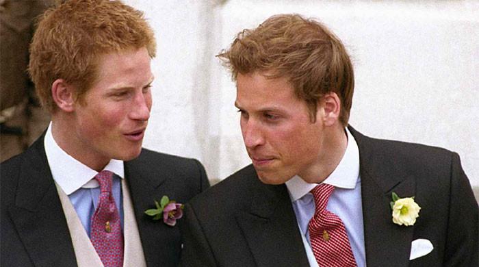 Prince William 'too hurt' to consider reconciling with Harry due to Kate Middleton?