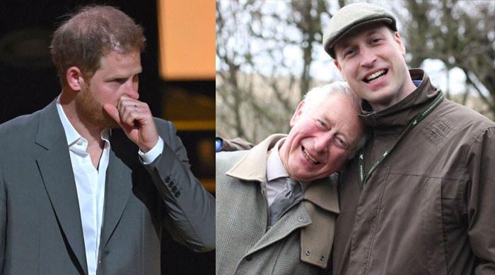 Prince Harry's desperation starts to reek