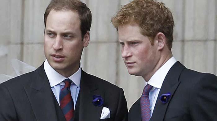Prince William, Harry keep Diana's legacy alive despite the feud