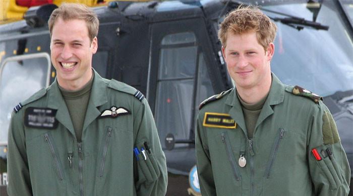 Prince William's THIS appointment dubbed 'gut-punch' for Prince Harry