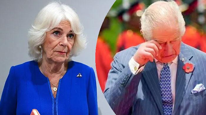 Queen Camilla leaves King Charles suffering alone and Prince William fuming at the mouth Queen Camilla leaves King Charles suffering alone and Prince William fuming at the mouth