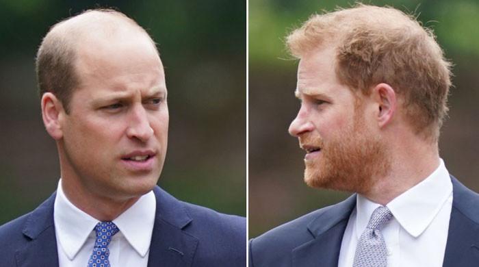 Prince William ‘furious’ with Prince Harry amid ‘deep rift’ Prince William ‘furious' with Prince Harry amid ‘deep rift'