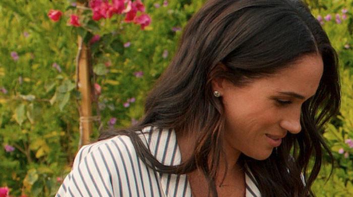 Expert addresses Prince Archie, Princess Lilibet radio silence by Meghan Markle