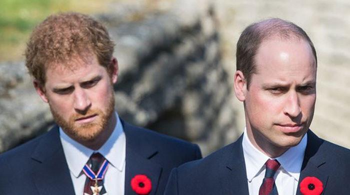Prince Harry warned of ‘cashing in' promise to William