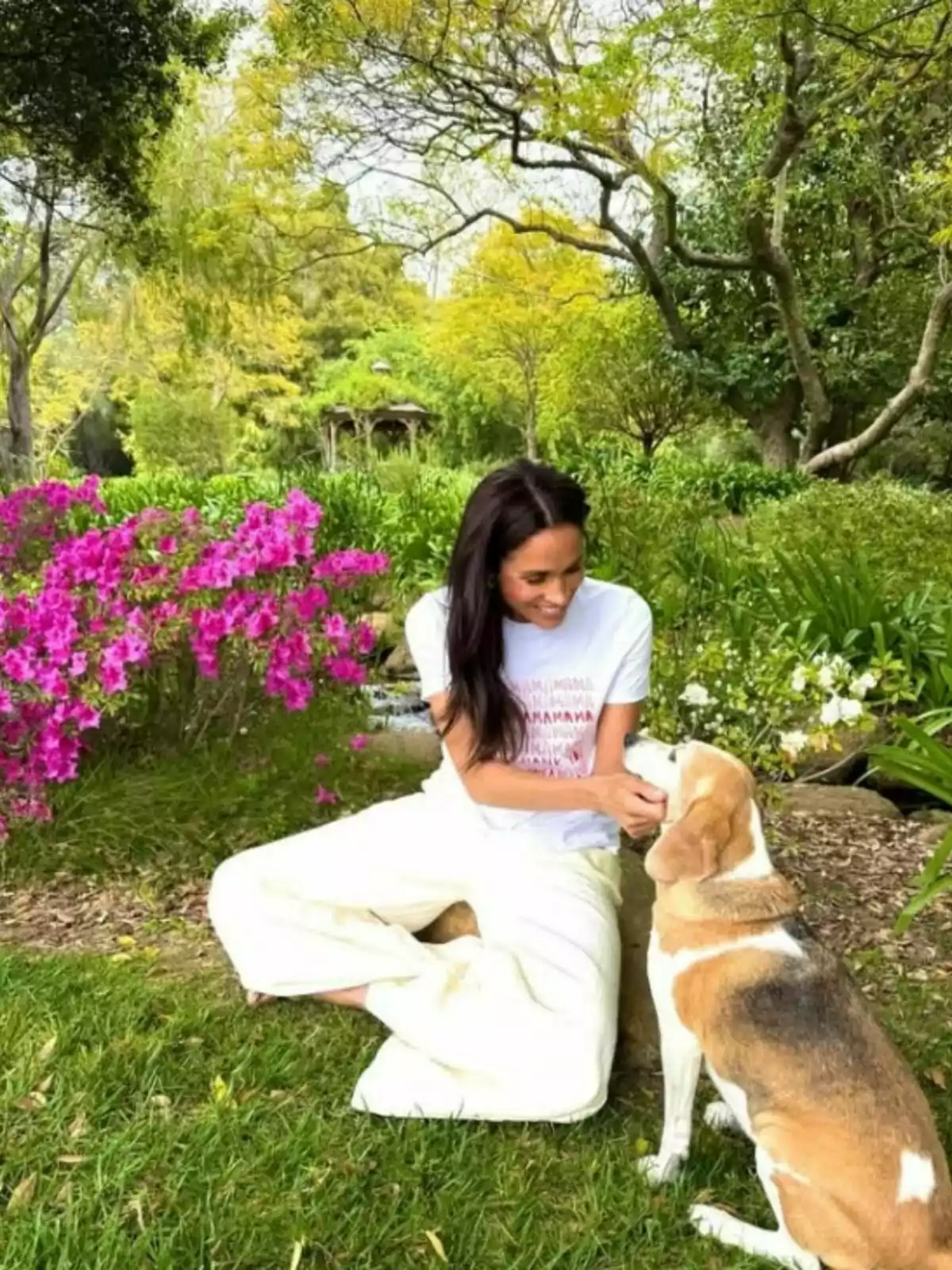 Woman sitting on the grass petting a beagle dog in a garden with pink flowers and green trees in the background
