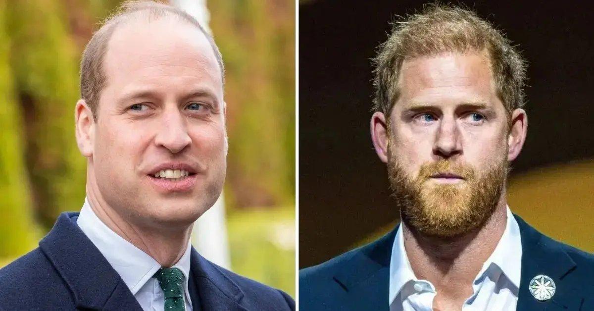 Image of when William becomes king, he will allegedly ensure Prince Harry has 'zero role' in the monarchy.
