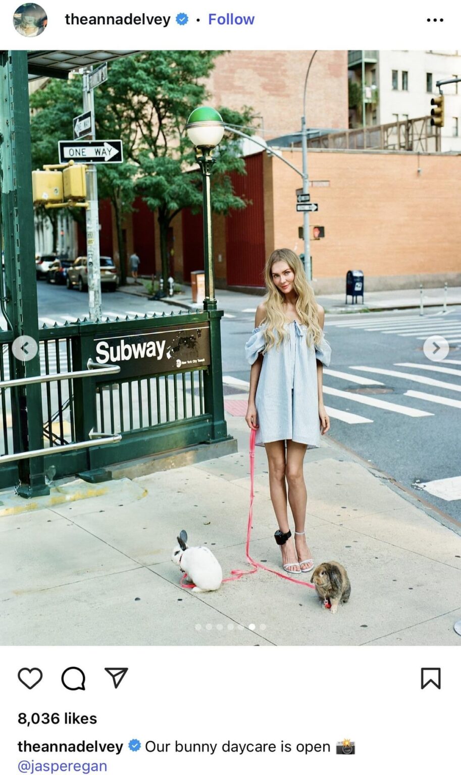 The Anna Delvey Bunny Dumping Saga explained! Bunnies were dumped in park…People realized they were the same ones used by Anna Delvey on photoshoot…An assistant on the shoot finally admitted he panicked and dumped the bunnies after lying and fabricating evidence of their wellbeing. The Anna Delvey Bunny Dumping Saga explained! Bunnies were dumped in park…People realized they were the same ones used by Anna Delvey on photoshoot…An assistant on the shoot finally admitted he panicked and dumped the bunnies after lying and fabricating evidence of their wellbeing.