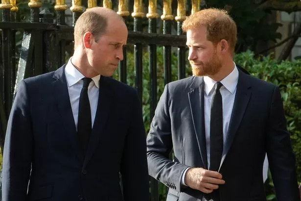 Prince William and Prince Harry, both in suits, stood in an outdoor area.