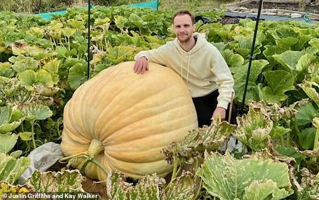 The estimated weight of the impressive gourd is 390 kilos – equivalent to around three baby elephants