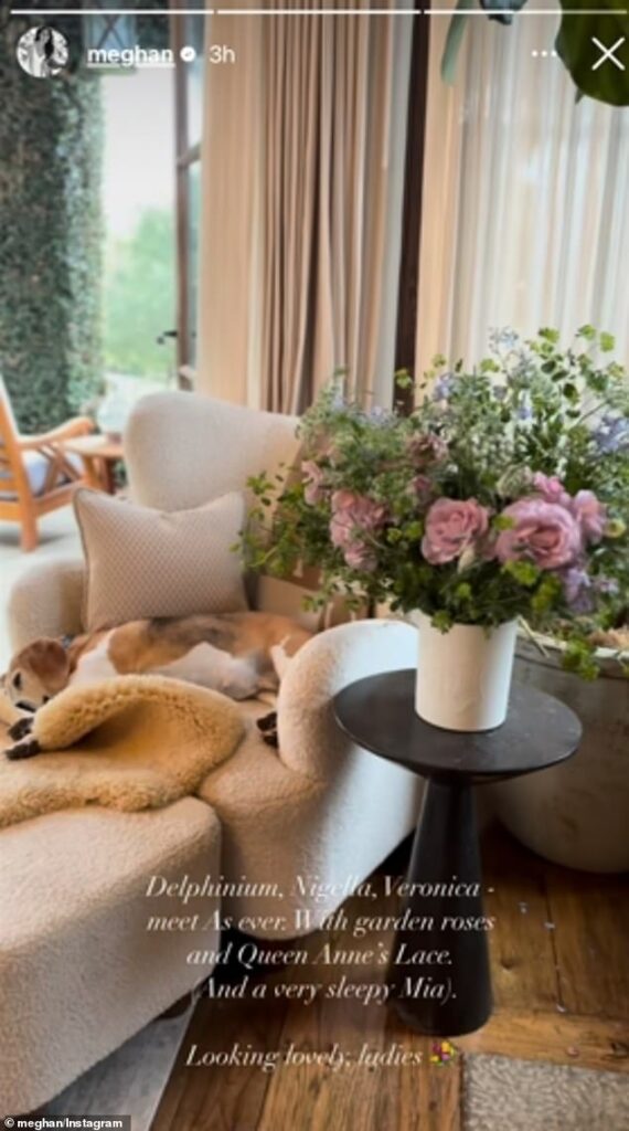 The Duchess of Sussex, 44, took to her Instagram account on Friday to show off what appeared to be her cosy living room in her Montecito home (pictured)