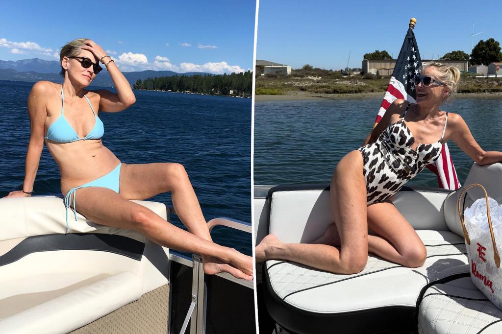 Sharon Stone, 67, models plunging animal print swimsuit on ‘glorious’ boat outing Sharon Stone, 67, models plunging animal print swimsuit on 'glorious' boat outing