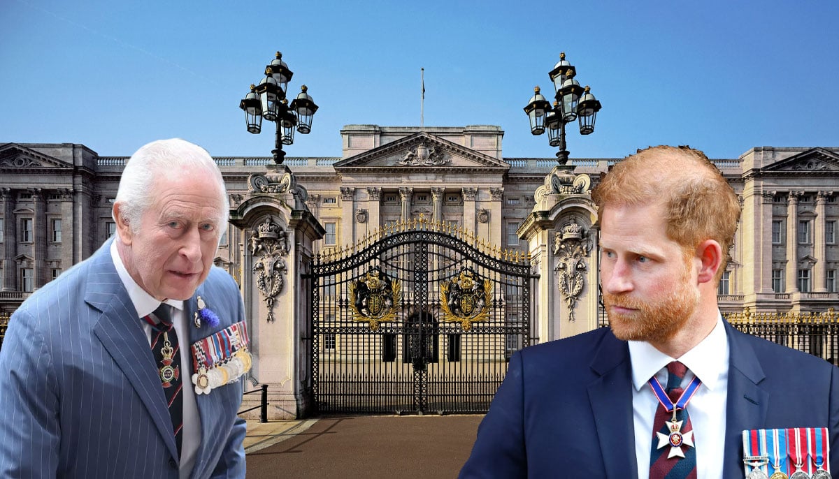 Palace ‘in shock’ as Prince Harry reopens old wounds days before meeting