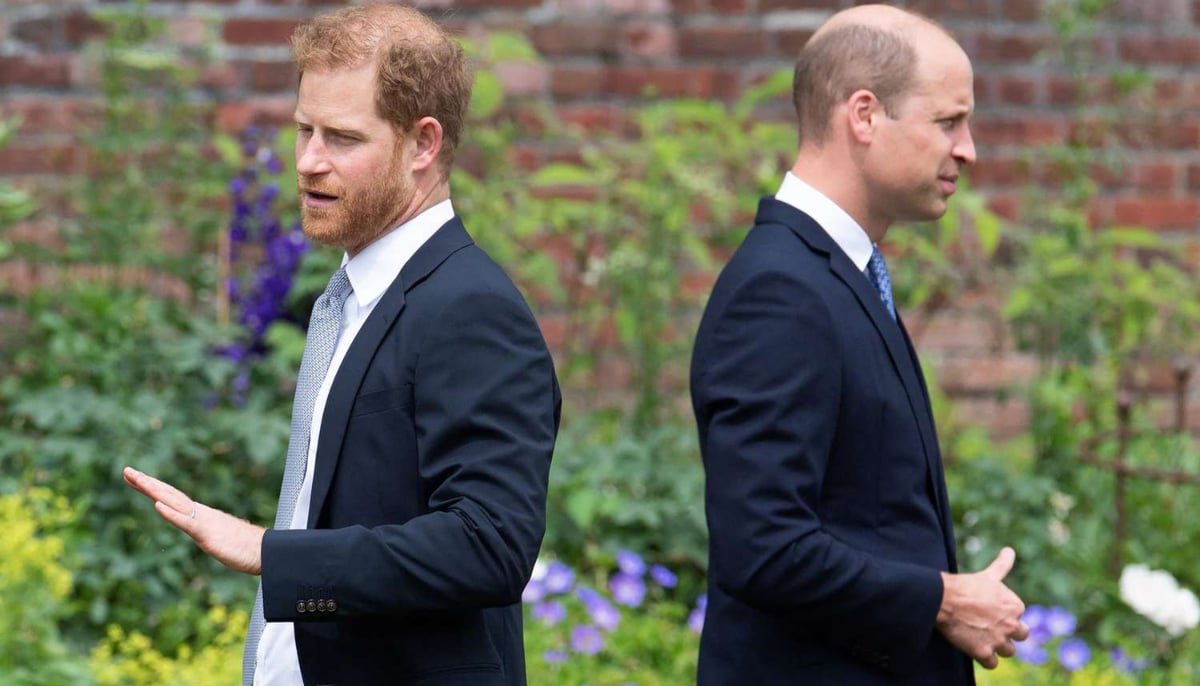 Kensington Palace dismisses William, Harry meeting report in new update