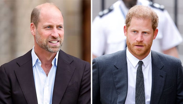 Prince Harry’s pal shares positive update about Prince William reunion
