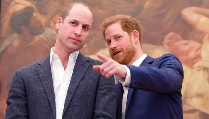 Prince Harry makes generous offer to William as future UK trips on cards
