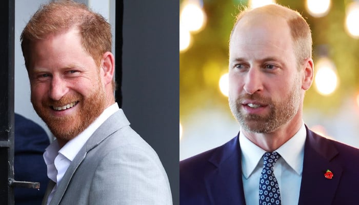 Prince Harry shares fond memory with William in new TV appearance