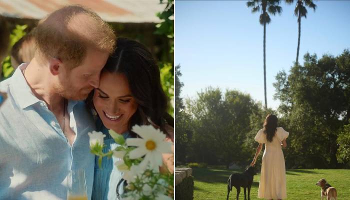 Meghan Markle highlights sweet moments in a new photo