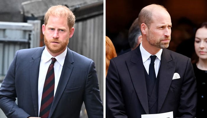 Prince Harry makes ‘endless’ calls to ‘furious’ Prince William