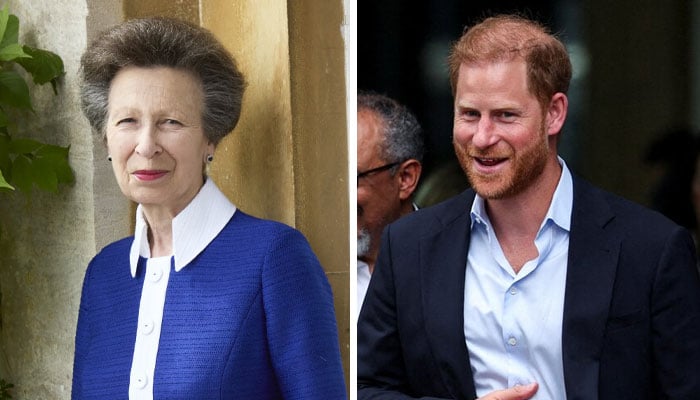 Princess Anne to make key visit in Jersey amid talks of Harry’s role