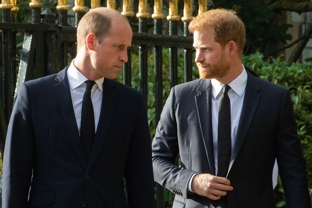 Prince William and Prince Harry, both in suits, stood in an outdoor area.