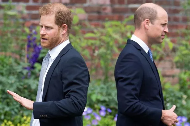 Prince Harry, Prince William 