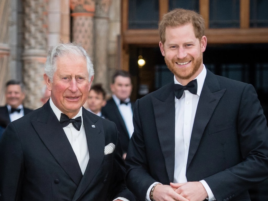 Prince Harry Discusses His Reunion With King Charles